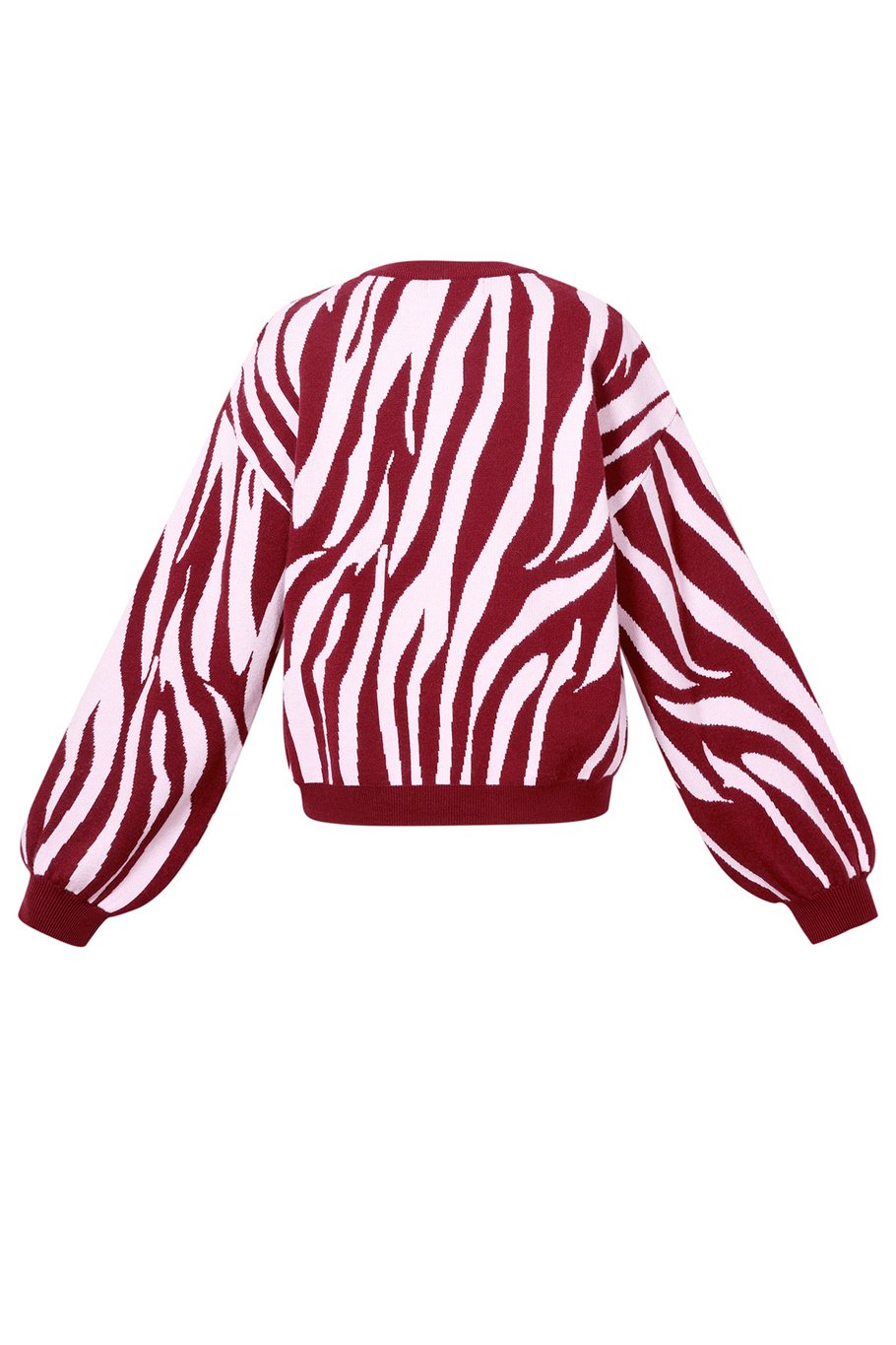 Gebreide truien Zebrastrepen Casual herfst/winterkleding h5Afbeelding3