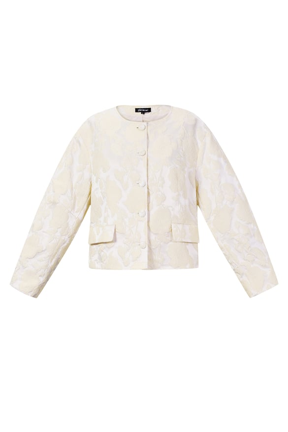 Jacquard Balloon Sleeve Jacket 2