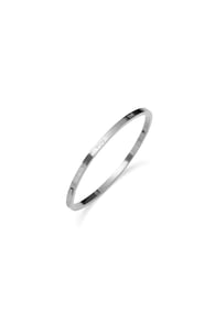 silver color Picture2
