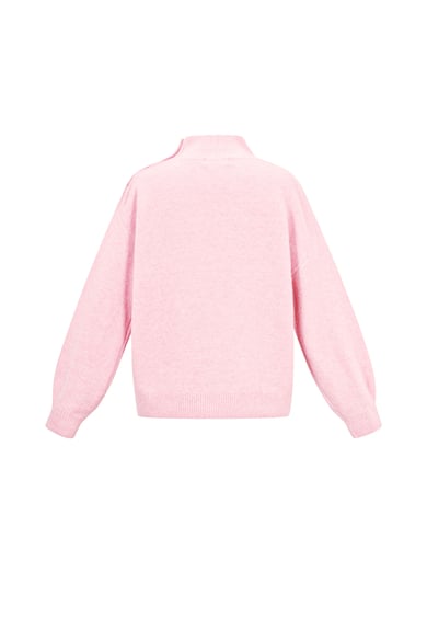 Polyester elyaf (polyester) Örme kazaklar Düz renk Günlük Sonbahar/Kış Giysileri h5 Resim3