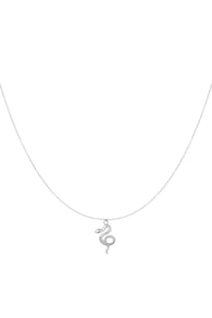 silver color Resim2