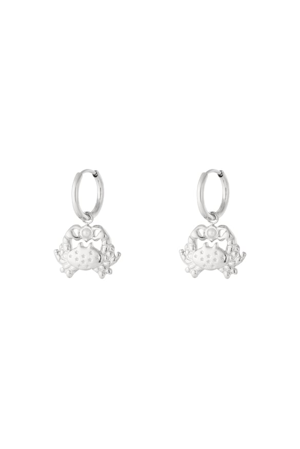 Pendientes colgantes de acero 304S con diseño de animales, para uso diario y casual