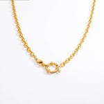 Gold color / 1 Piece Simple Series Daily Stainless Steel Gold Color DIY Women's Chain Necklaces Picture4