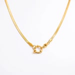 Gold color / 1 Piece Simple Series Daily Stainless Steel Gold Color DIY Women's Chain Necklaces Picture7