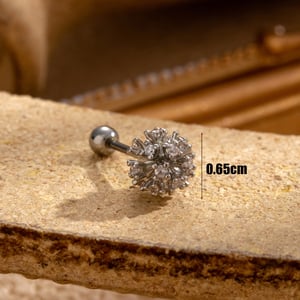 1 Piece Simple Series Simple Geometric Titanium Steel Silver Color Material Zircon Women's Stud Earrings h5 