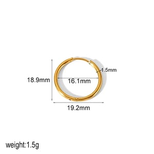 1 Pair Minimalist Style Geometric Stainless Steel  Gold Color Women's Hoop Earrings h5 