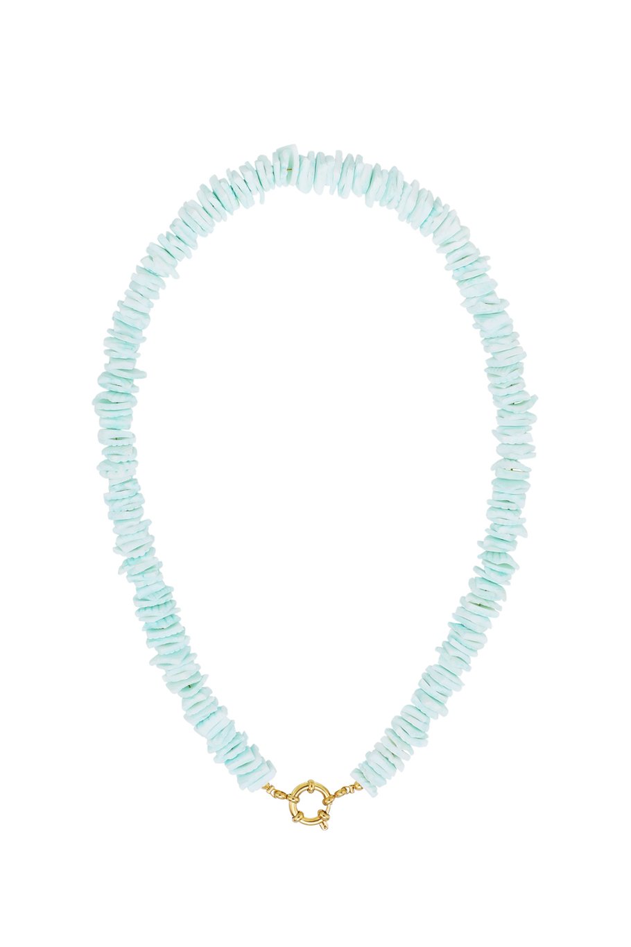 Seashell Necklace Picture3