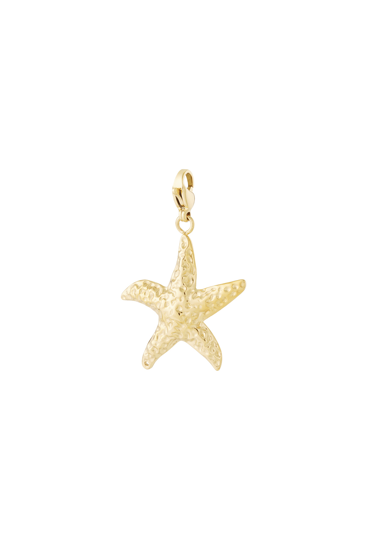 Zeester jewelry charm