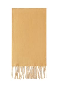 Camel Resim3