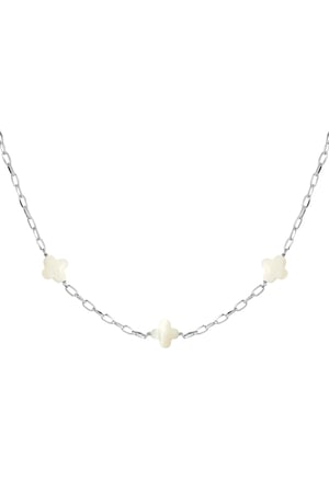 Necklace seashell clovers - Silver Color Stainless Steel h5 