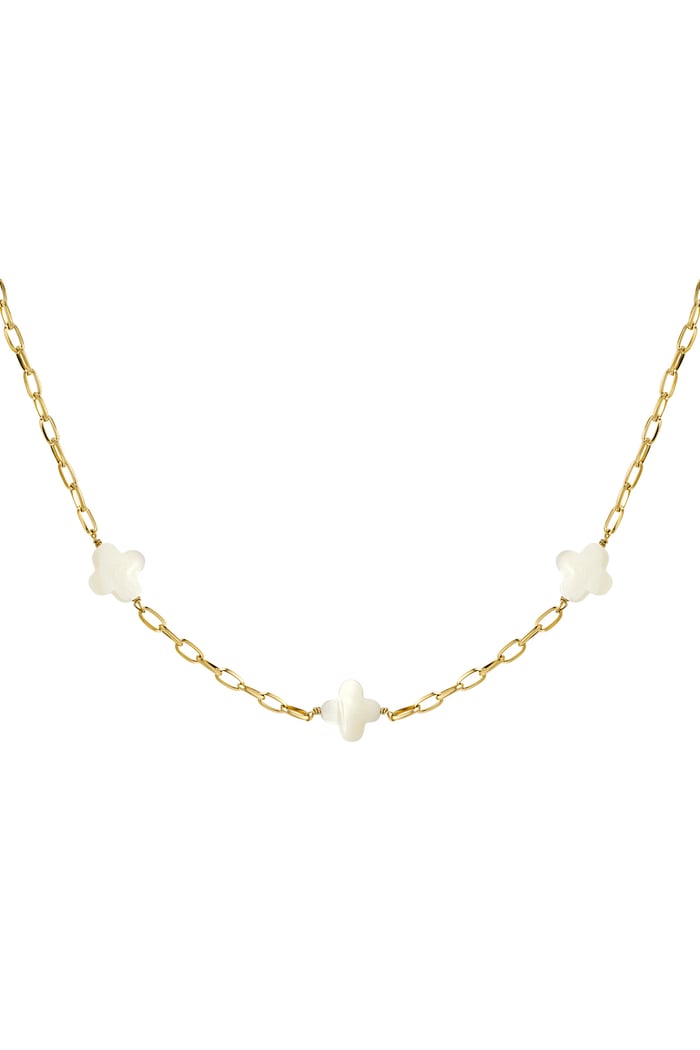 Necklace seashell clovers - Gold Color Stainless Steel 