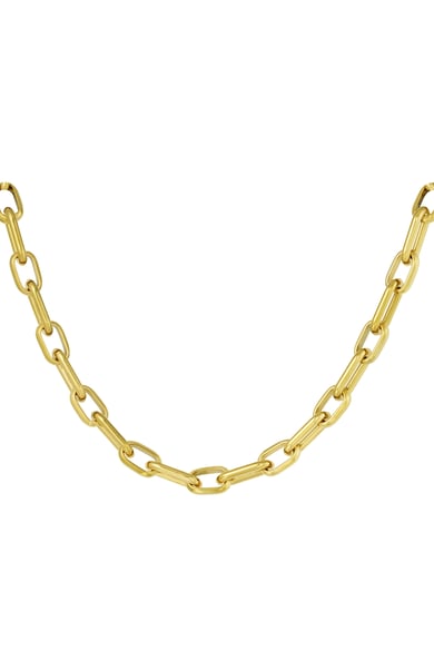 Necklace elongated links with charms - Gold color h5 