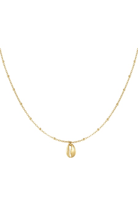 Link chain with shell - Gold color