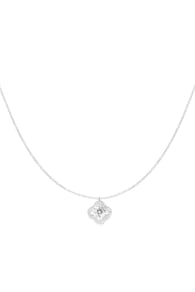 silver Afbeelding2