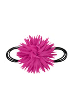 Fuchsia Bild6