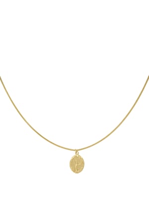 Necklace with women's charm - Gold color h5 Picture3