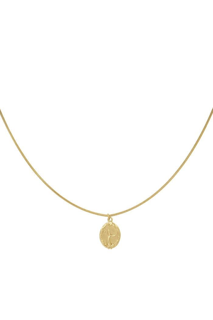 Necklace with women's charm - Gold color Picture3