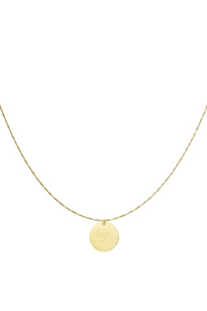 Heartfelt coin necklace - Silver Color color h5 