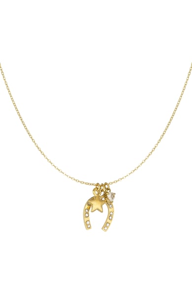 Necklace horseshoe charms - Silver Color color h5 