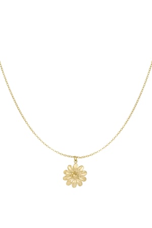 Blossom bliss necklace - Gold color h5 