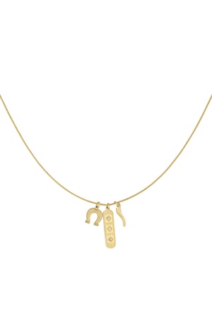 Lucky hoof necklace - Gold color h5 