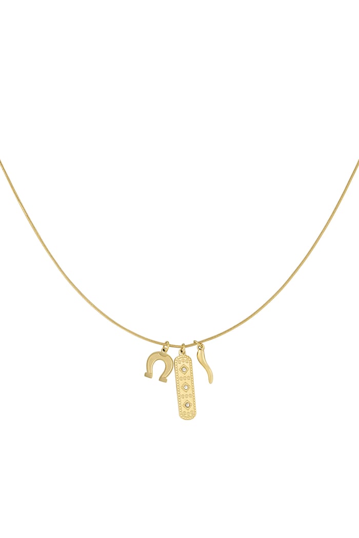 Lucky hoof necklace - Gold color 