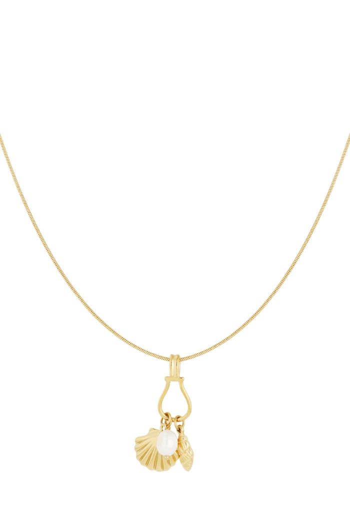 Shell secrets necklace - Gold color 