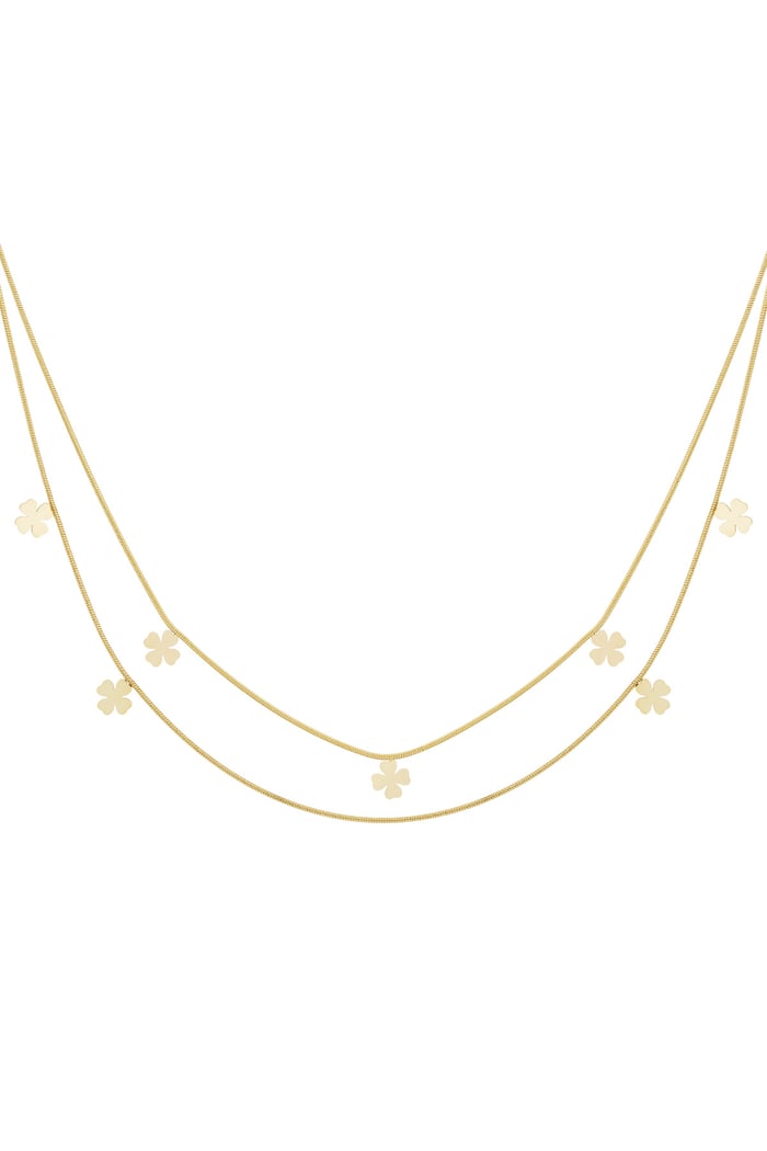 Double clover necklace - Goud kleur 