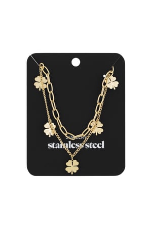 Layered luck necklace - Gold color h5 Picture3