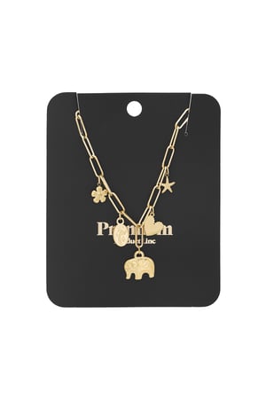 Jolly charms necklace - Gold color h5 Picture3