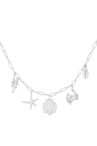 silver color Immagine2