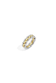 Colore oro e argento/16 Immagine4