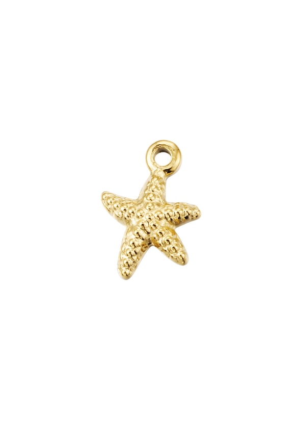 charm star with print