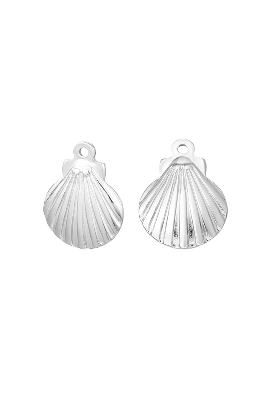Charm Muschel  