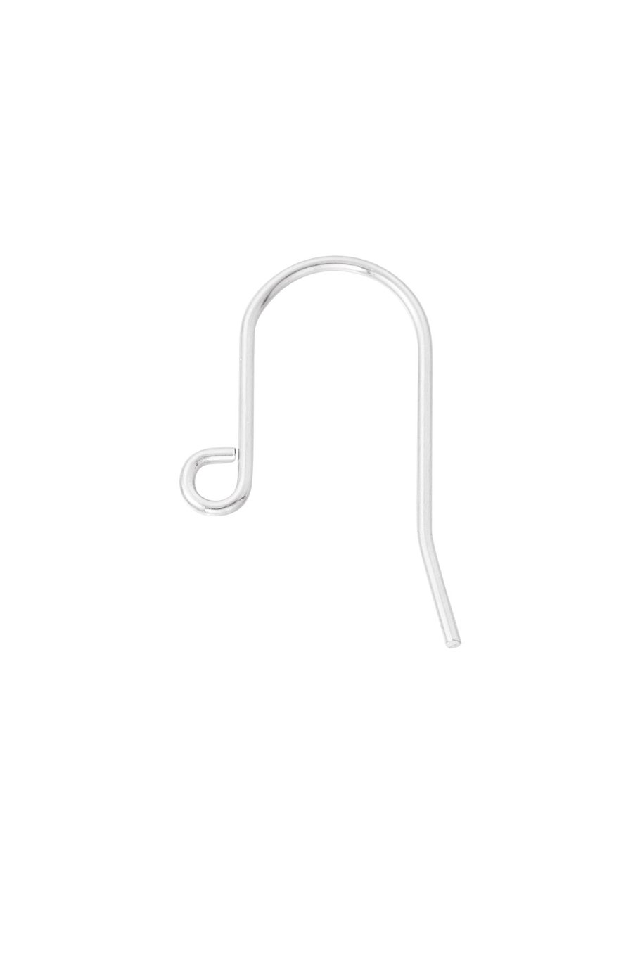 ear hook 