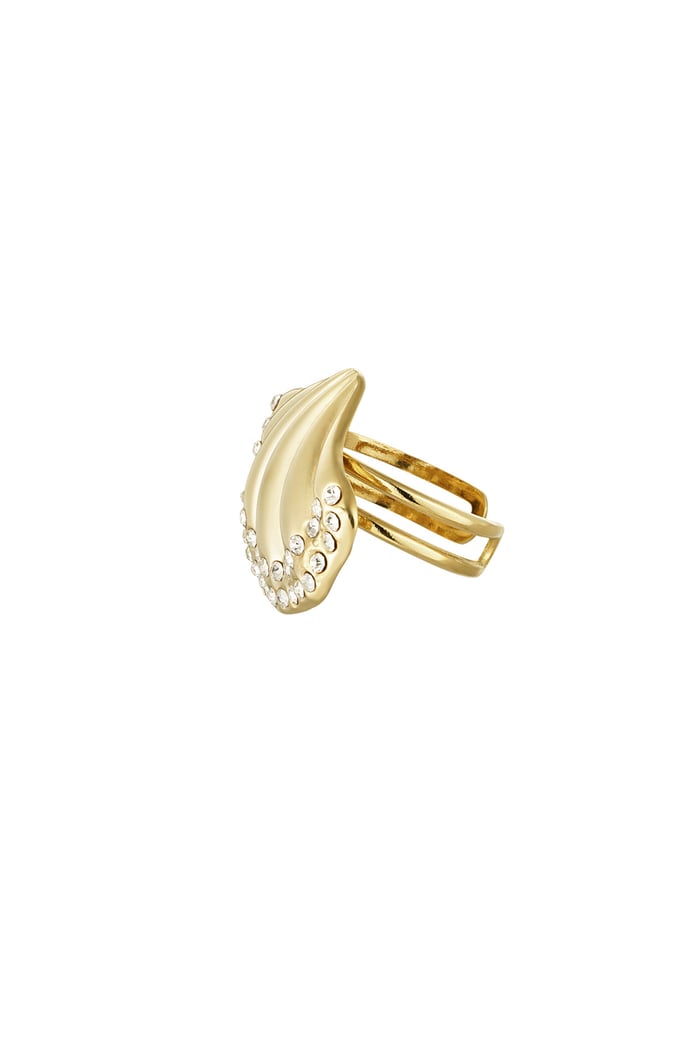 Ring shell shimmer - Gold color Picture3