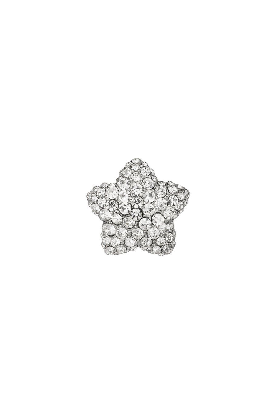 Floral essence brooch - Silver Color color h5Picture3