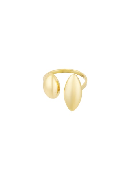 Ring diverse duo - Gold color 2