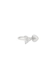 silver color Immagine2
