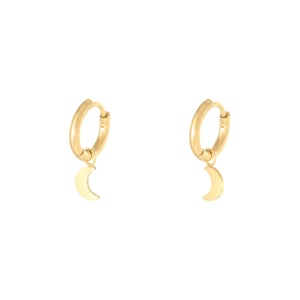 Earrings Moon h5 