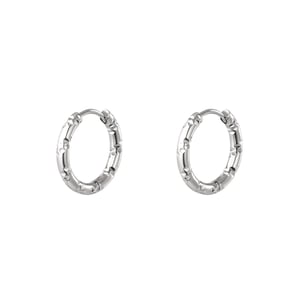 Stainless steel hoop earrings h5 