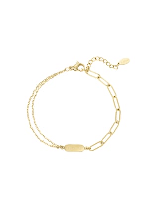 Stainless Steel Bracelet with Double Chain and Charm Gold color h5 