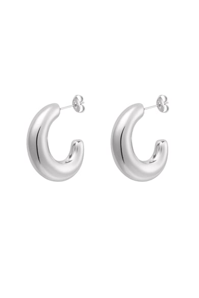 Basic half moon earrings - Silver Color color h5 