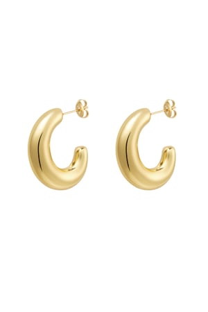 Earrings half moon basic - Gold color h5 