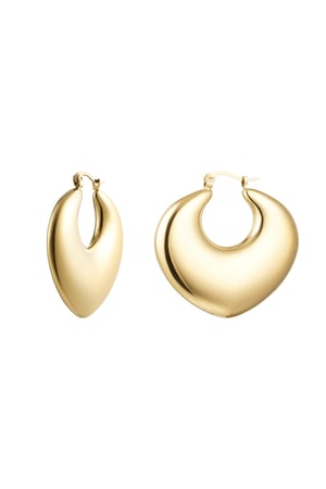 Earrings chic - Gold Color Stainless Steel h5 