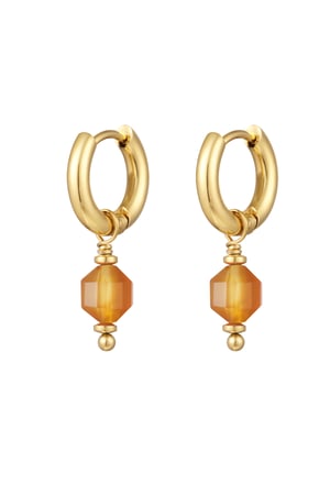 Earrings with stone January - Gold color/brown h5 