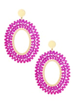 Fucsia Imagen6