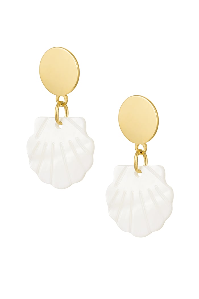 Earrings shell with circle - Gold Color Stainless Steel 