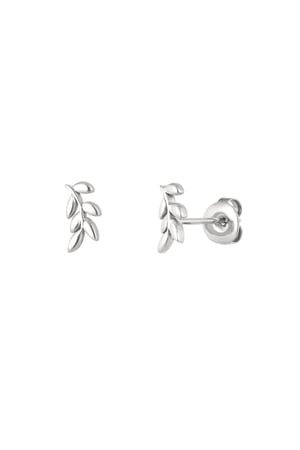 Ear studs leaves - Silver Color color h5 