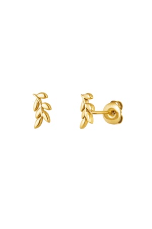 Ear studs leaves - Gold color h5 